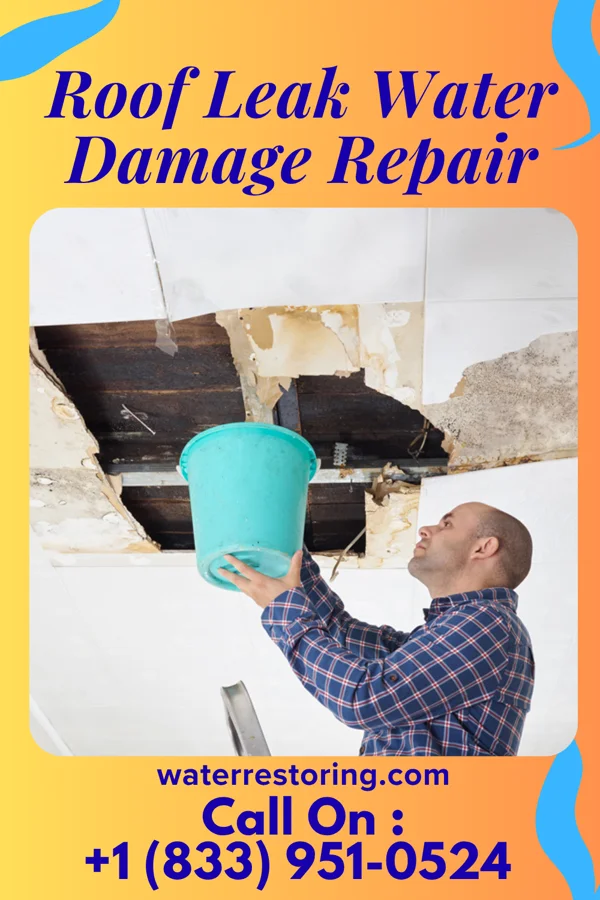 Roof Leak Water Damage Repair in Quincy, FL