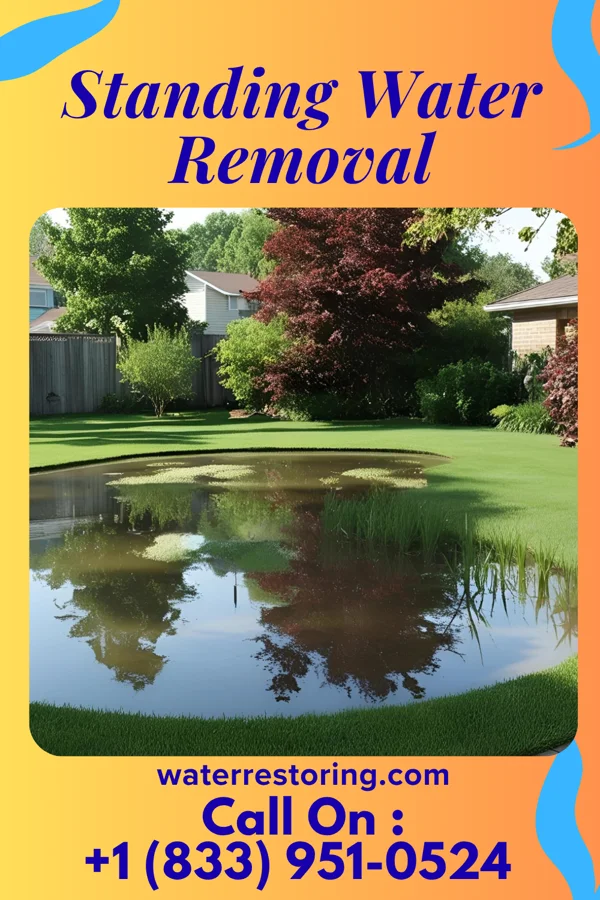 Standing Water Removal in Quincy, FL